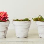 Wondering if it’s too late to open a pension at 55 or older in the UK? Learn how it works, what the benefits are, and why it’s still worth doing.